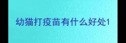 幼猫打疫苗有什么好处