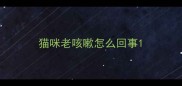 猫咪老咳嗽怎么回事