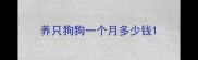 养只狗狗一个月多少钱