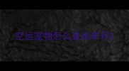 空运宠物怎么查询单号