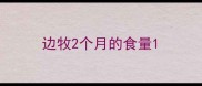 边牧2个月的食量