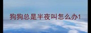 狗狗总是半夜叫怎么办