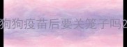 狗狗疫苗后要关笼子吗