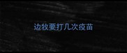 边牧要打几次疫苗