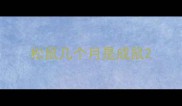 松鼠几个月是成鼠