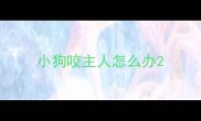 小狗咬主人怎么办