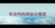 泰迪狗狗膀胱在哪里