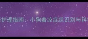 宠物健康护理指南小狗着凉症状识别与科学应对全