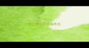 哈士奇叫不回来咋办