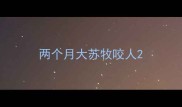 两个月大苏牧咬人