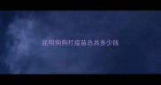 昆明狗狗打疫苗总共多少钱
