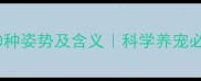 狗狗睡觉的20种姿势及含义科学养宠必看的行为密码