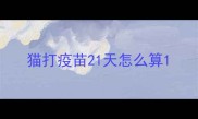 猫打疫苗21天怎么算
