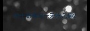 哈士奇俩月一天吃几顿