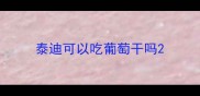 泰迪可以吃葡萄干吗