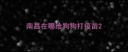 南昌在哪给狗狗打疫苗