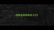 四联疫苗狗狗多大打