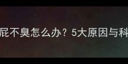 猫咪频繁放屁不臭怎么办5大原因与科学应对指南