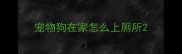 宠物狗在家怎么上厕所