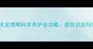 边境牧羊犬母犬发情期科学养护全攻略症状识别与健康管理指南