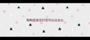 狗狗疫苗没打完可以出去么