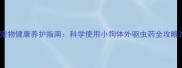 宠物健康养护指南科学使用小狗体外驱虫药全攻略
