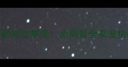 动车带宠物最新规定解读全网最全乘宠指南与注意事项