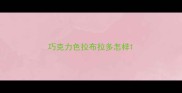 巧克力色拉布拉多怎样