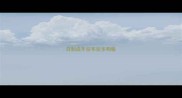 自制成年拉布拉多狗粮