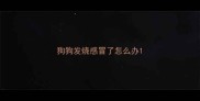 狗狗发烧感冒了怎么办