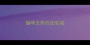 猫咪去势后还勃起