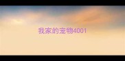 我家的宠物400