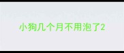小狗几个月不用泡了