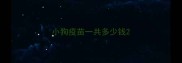 小狗疫苗一共多少钱