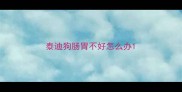泰迪狗肠胃不好怎么办