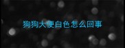 狗狗大便白色怎么回事