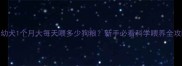 泰迪幼犬1个月大每天喂多少狗粮新手必看科学喂养全攻略