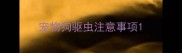 宠物狗驱虫注意事项