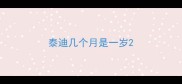 泰迪几个月是一岁