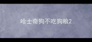 哈士奇狗不吃狗粮