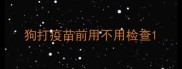 狗打疫苗前用不用检查