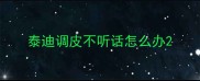 泰迪调皮不听话怎么办