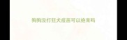 狗狗没打狂犬疫苗可以绝育吗