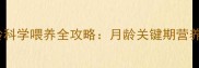 哈士奇幼犬2月龄科学喂养全攻略月龄关键期营养搭配与注意事项