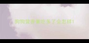 狗狗营养膏吃多了会怎样
