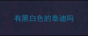 有黑白色的泰迪吗