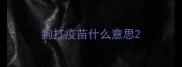 狗打疫苗什么意思
