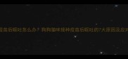 宠物疫苗后呕吐怎么办狗狗猫咪接种疫苗后呕吐的7大原因及应对指南
