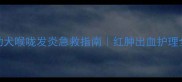 2月龄幼犬喉咙发炎急救指南红肿出血护理全攻略