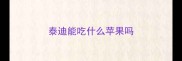 泰迪能吃什么苹果吗